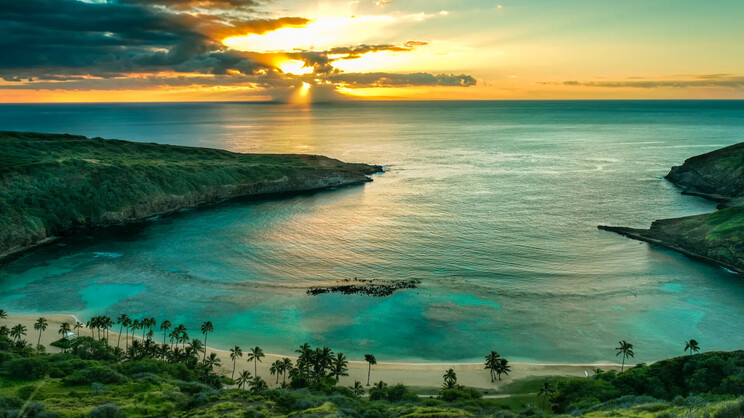 Hilton Waikiki Beach 